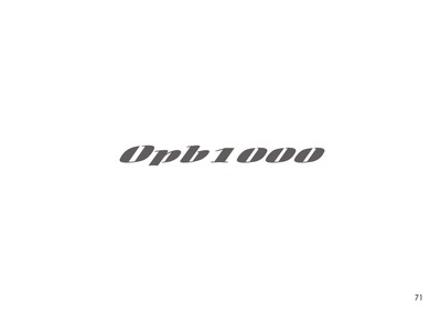 Amplificador Oneal OPB1000