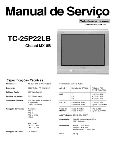 Panasonic TC25P22LB