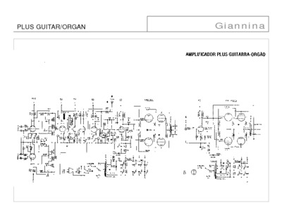 Giannini Plus Guitar-Organ