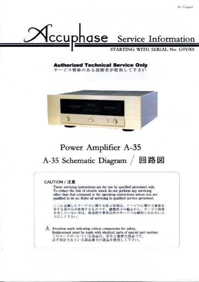Accuphase A35
