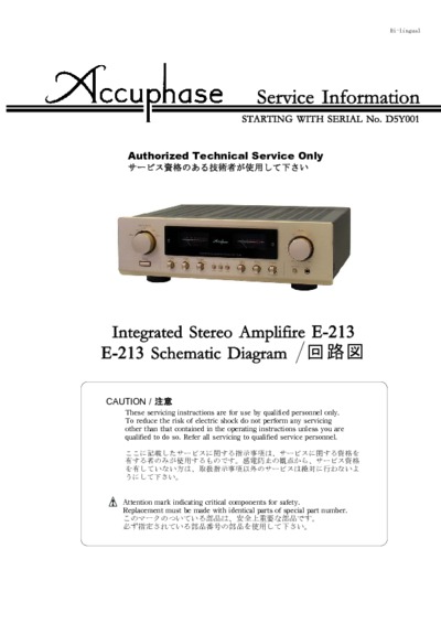 Accuphase E213