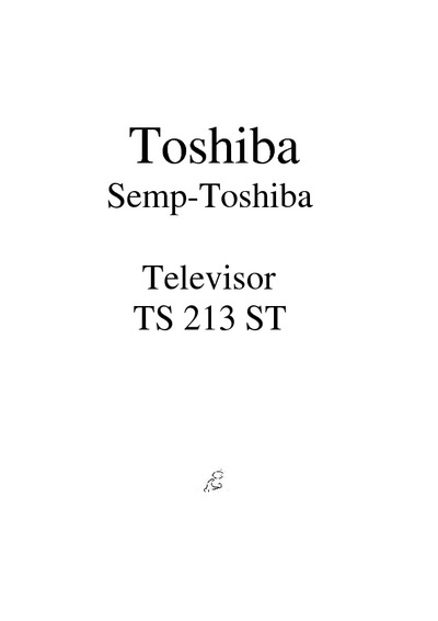 Toshiba TS-213ST